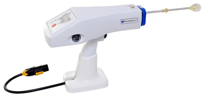 廠家愛爾蘭Idoman艾得曼子宮內(nèi)膜治療儀Thermablate EAS